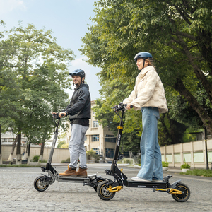 Uk Eu Us Hot Selling Top Selling 2025 1200w *2 Dual Motor iENYRID ES1 Electric Scooters Off Road - Product Image 6