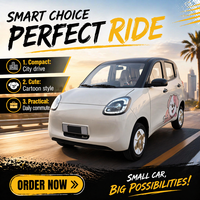Voiture électrique miniature à 4 roues, à basse vitesse, fermée, économique, pour les déplacements quotidiens des personnes âgées, petit véhicule électrique pour adultes, voiturette de golf à basse vitesse