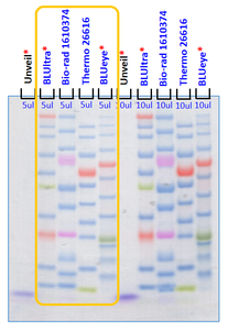 Escalera de proteína preteñida BLUultra (500 UL) Estándar de proteína de tres colores con 10 proteínas preteñidas - Product Image 3