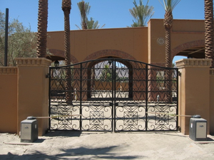 ACE Cổng Nhà Chính Thiết Kế Hàng Rào Sơn Cửa Ra Vào Bằng Sắt Rèn Tự Động - Product Image 6