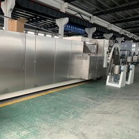 Ligne de production entièrement automatique de haute qualité pour la fabrication de gaufrettes et de petites gaufrettes
