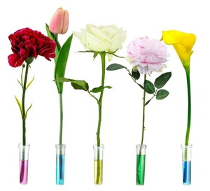<span class=keywords><strong>Tubos</strong></span> <span class=keywords><strong>de</strong></span> Nutrición para Flores Frescas <span class=keywords><strong>de</strong></span> <span class=keywords><strong>PVC</strong></span>, Contenedores Hidropónicos, 100 Unidades, Tamaño y Color Personalizables, Duraderos, Venta al Por Mayor - Product Image 2