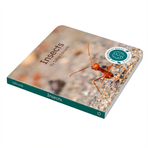 Libro Cartonato per Bambini di Alta Qualità con Angoli Arrotondati, Ecologico, Libro Educativo per la Prima Infanzia - Product Image 6