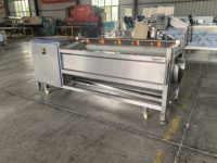 Machine à éplucher industrielle automatique facile à utiliser, 800 kg/h, pour pommes de terre, gingembre, curcuma, avec brosse à rouleaux, machine à éplucher le manioc