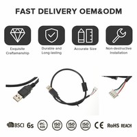 Produsen Kabel PBT/PVC untuk Sistem Komputer dengan Perlindungan IP65, Harness Kabel Listrik Otomotif dan Sepeda Motor OEM Profesional