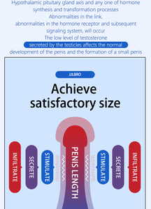 ครีมขยายขนาดอวัยวะเพศสำหรับ maxman ครีมตัวอย่างฟรีสำหรับผู้ชาย - Product Image 5