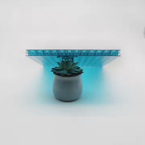 Panneau <span class=keywords><strong>en</strong></span> <span class=keywords><strong>polycarbonate</strong></span> profilé <span class=keywords><strong>en</strong></span> X personnalisé 16-32 mm, haute résistance, résistant aux chocs, pour revêtement de serre - Product Image 2