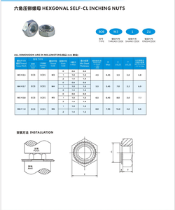 Tuercas de Fijación Autoajustables Galvanizadas con Cabeza Hexagonal M2, M2.5, M3, M4, M5, M6, M8, Clase 032-3, Tuerca Removable - Product Image 2