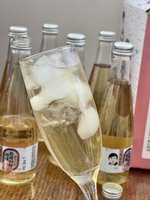Private Label Berkenwaterdrank Plant-Based Drankproducent China Oerwoudsap ODM OEM Plant-Based Iced Gym