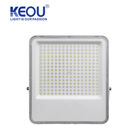 50W 100W 150W 200W boîtier en aluminium mural Ip66 réflecteur extérieur Led projecteur électrique