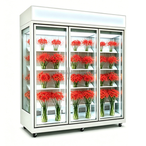 Vitrine réfrigérée à trois portes vitrées, écoénergétique, à flux d'air uniforme, pour éviter la dessèchement des fleurs, idéale pour les entreprises florales. - Product Image 3