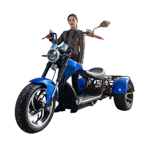 Triciclo Eléctrico para Adultos, para Desplazamientos entre Padres e Hijos y Movilidad Urbana - Product Image 1
