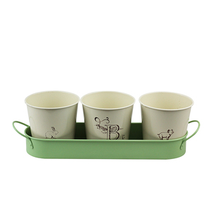 BX Garden Petite jardinière en métal en <span class=keywords><strong>acier</strong></span> <span class=keywords><strong>galvanisé</strong></span> Pot de fleur de bureau décoratif avec plateau pour affichage d'herbes et de fleurs - Product Image 6