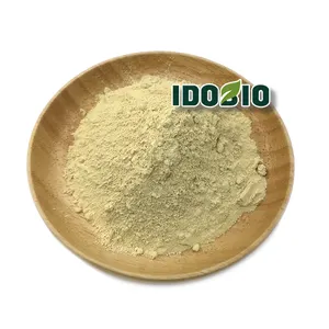 Ingwer extrakt pulver 20% Gingerol pulver