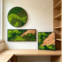 Décoration murale personnalisée en mousse et bois, art botanique moderne, cadre d'art en mousse stabilisée, décoration murale naturelle en bois et mousse, verdure