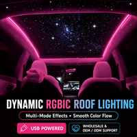 Kit d'éclairage d'ambiance pour toit ouvrant de voiture 12V 5W, bande acrylique à effet de défilement, lampe de décoration dissimulée, colorée, vente en gros usine
