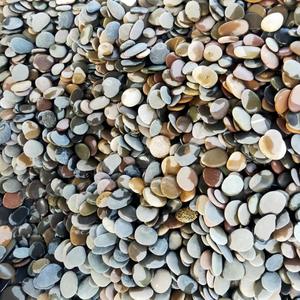 Ghiaia Decorativa in Pietra Naturale Colorata, Design Moderno Ecologico, Marca Maikemaini per Riempimento Vasi, Acquari e Ambienti Esterni - Product Image 3