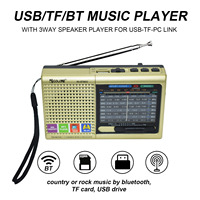 Kundenspezifisches OEM Privat-Design ABS Tragbares AM FM SW Multiband USB TF MP3-Player mit Taschenlampe BT Outdoor Notfall-Aufladbarradio