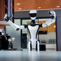 Robot Humanoid Layanan AI untuk Resepsi Komersial, Ritel, dan Aplikasi Interaktif Q5