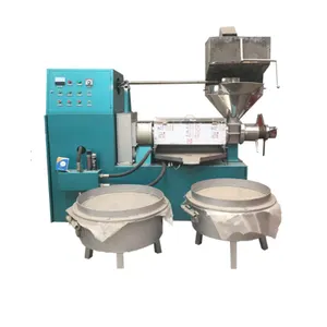 high quality vegetable cold press oil extractor machine cold press machine