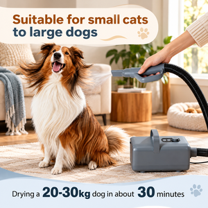 Sèche-cheveux haute vitesse pour animaux de compagnie 1550W avec chauffage, vitesse et température réglables, pour chiens et chats, avec 4 embouts - Product Image 6