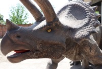 Modèle animatronique de dinosaure Triceratops réaliste et personnalisable, à commande mécanique, avec mouvements, pour les parcs à thème