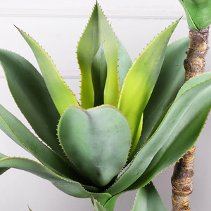 Cactus long artificiel écologique en plastique pour le désert et les plantes succulentes tropicales pour la décoration de la maison ou du bureau - Product Image 3