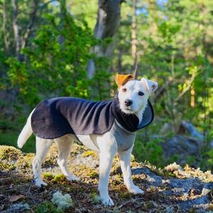 스트레치 플리스 애완동물 재킷 풀오버 플리스 코트 중대형견용 가을 야외 착용 따뜻하게 유지하는 애완동물 의류 - Product Image 3