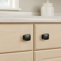 Bouton carré en Zamak noir mat moderne Runwin 2026, fabrication OEM, installation facile pour armoires de chambre, cuisine et salle de bain