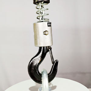 <span class=keywords><strong>Palan</strong></span> électrique de type européen de fournisseur d'OEM de la Chine de 125 kg et de taille 4 mètres de <span class=keywords><strong>palan</strong></span> à chaîne électrique 380v 220v 440v - Product Image 4