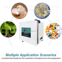 Incubateur portable WEIAI pour véhicule, 9L, pour semences, reptiles, microbiologie, cellules, usage médical, chauffage électrique, thermostaté
