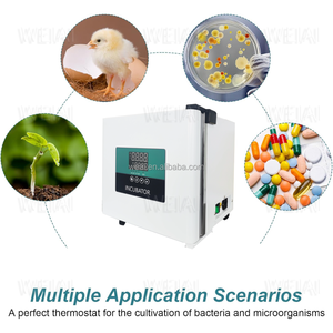 Weiai Phòng Thí Nghiệm Xách Tay Xe Gắn Lồng Ấp 9L Hạt Giống Loài Bò Sát Vi Sinh Học Di Động Y Tế Điện Sưởi Ấm Tĩnh Nhiệt Lồng Ấp - Product Image 6