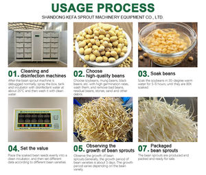 Machine de culture d'herbe de soja et d'orge automatique à haute productivité salle de culture de germes de soja pour la production alimentaire - Product Image 6