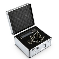 Microphone de Studio Condensateur XLR Professionnel à Grand Diaphragme pour Enregistrement, Polaire Cardioïde en Métal et Plastique pour Streaming en Direct et Voix