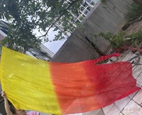 Drapeaux en voile de soie pour la danse prophétique et la louange, bannières fluides pour le ministère, tiges flexibles pour drapeaux