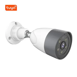 Hot CCTV Camera Video Wholesale Outdoor Smart Camera Security For Garden Outdoor 1080 Lan Network 2 Way Camera For Taiwan