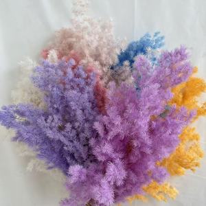 Feuille de Pougéa de Penglai de haute qualité, naturelle et préservée, pour la décoration intérieure et les arrangements floraux festifs - Product Image 2