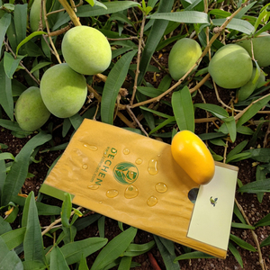 Paper Mango Biodegradable Fruit Protection Bag Protective Bags For Fruits Paper Mango Biodegradable Fruit Protection Bag Protective Bags For Fruits