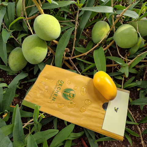 Paper Mango Biodegradable Fruit Protection Bag Protective Bags For Fruits Paper Mango Biodegradable Fruit Protection Bag Protective Bags For Fruits