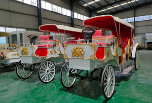 Carro Eléctrico de 8 Plazas sin Caballos con Parasol/Carroza Especial <span class=keywords><strong>para</strong></span> Fiestas/Carroza de <span class=keywords><strong>Boda</strong></span> de Lujo/Limusina - Product Image 5
