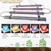 Lampe de culture LED à spectre complet haute puissance pour jardin intérieur, culture hydroponique, légumes en pot avec dissipateur de chaleur en aluminium