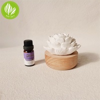 Aroma Flower Diffuseur passif en pierre parfumée non toxique écologique pour la décoration intérieure Bougies Accessoire de parfum Aromathérapie blanche