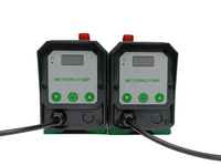 Pompa Dosis Kolam Renang Tipe Filter 15L/H untuk Penambahan Klorin dan PH
