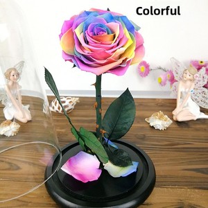 <span class=keywords><strong>Petit</strong></span> <span class=keywords><strong>Prince</strong></span> Rose, fleur préservée sous cloche en verre, boîte cadeau 7-8cm pour Noël, la Saint-Valentin, anniversaire, cadeau créatif - Product Image 3