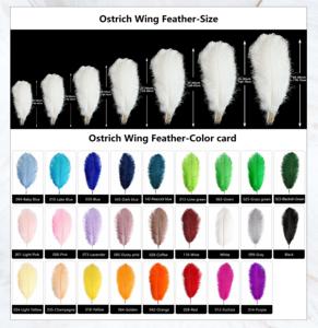 天然ダチョウ羽プルームバルク16-30インチ (40-75cm) - Product Image 6