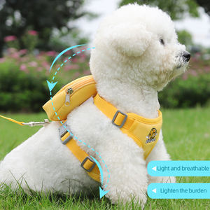 Harnais et laisse pour chien de type gilet en gros pour petits chiens, laisse de promenade pour animaux de compagnie - Product Image 1