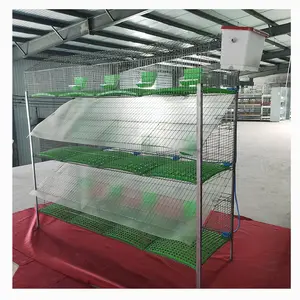 Cages d'élevage de lapins bon marché Cages d'élevage de lapins commerciales industrielles Produits agricoles du Kenya Cages à lapins
