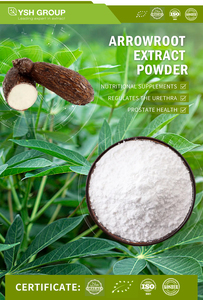 Poudre de racine de flèche 10:1 poudre de flèche de qualité cosmétique poudre de flèche organique cosmétique 10:1 - Product Image 2