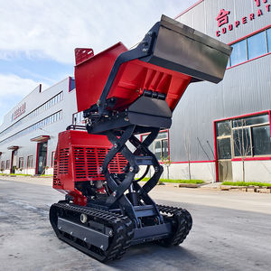 Ücretsiz kargo küçük paletli damperli yükleyici Mini damper KOOP dizel motor ile vinç ön yükleyici ev kullanımı - Product Image 3