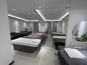 चीन ब्यूटी सैलून फर्नीचर एसपीए बिस्तर समायोज्य मालिश टेबल फिजियोथेरेपी मालिश चिकित्सा परीक्षा बिस्तर - Product Image 4